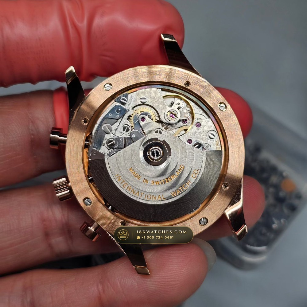 IWC Schaffhausen IWC Portugieser Chronograph 40.9mm Cal. 79350 Ref. IW371482 — Studio Gallery Plate VI in 904L Stainless Steel Custom Architecture (81.8g Verified Mass, IWC Manufacture Cal. 69355 / Cal. 52010)