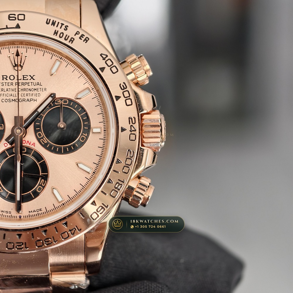 Rolex Cosmograph Daytona 18K Everose Gold Sapphire Caseback Spec Ref. 126505 — Studio Gallery Plate IV in 18K Rose Gold Au750 (216.1g Verified Mass, Rolex Manufacture Cal. 4131 - 72h Power Reserve)