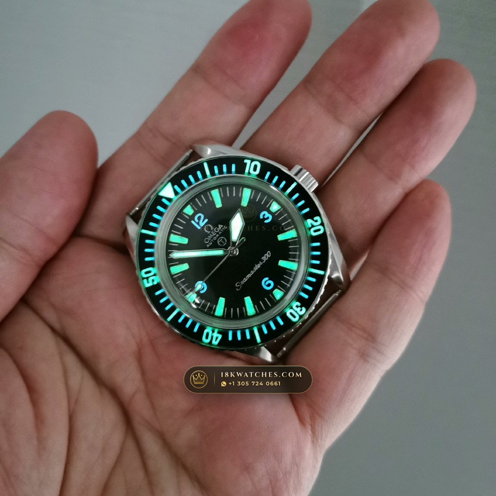 Omega Heritage Seamaster 300 Big Triangle Military Vintage 41mm Ref. 165.024 — Studio Gallery Plate III in 904L Stainless Steel Custom Architecture (104.9g Verified Mass, Omega Co-Axial Master Chronometer Cal. 8900)