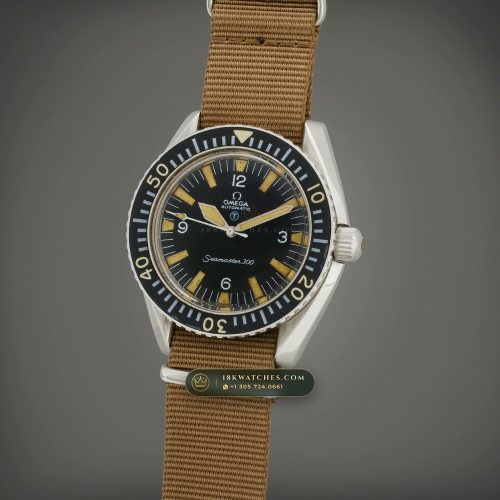 Omega Heritage Seamaster 300 Big Triangle Military Vintage 41mm Ref. 165.024 — Studio Gallery Plate IX in 904L Stainless Steel Custom Architecture (104.9g Verified Mass, Omega Co-Axial Master Chronometer Cal. 8900)