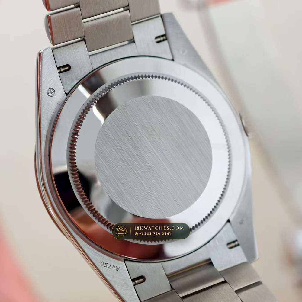 Rolex Day-Date 40 950 Platinum Ref. 228206 — Studio Gallery Plate VI in 950 Platinum Pt950 (280.4g Verified Mass, Rolex Manufacture Cal. 3255 - 70h Power Reserve)